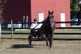 LR-WRF 10182025 Retreat-6543